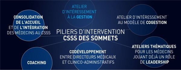 Philanthropie entrepreneuriale au CSSS des Sommets (3/5) : atelier d’intéressement à la gestion