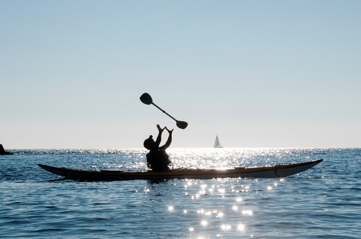 Help protect the St. Lawrence: Submit an issue to our experts!