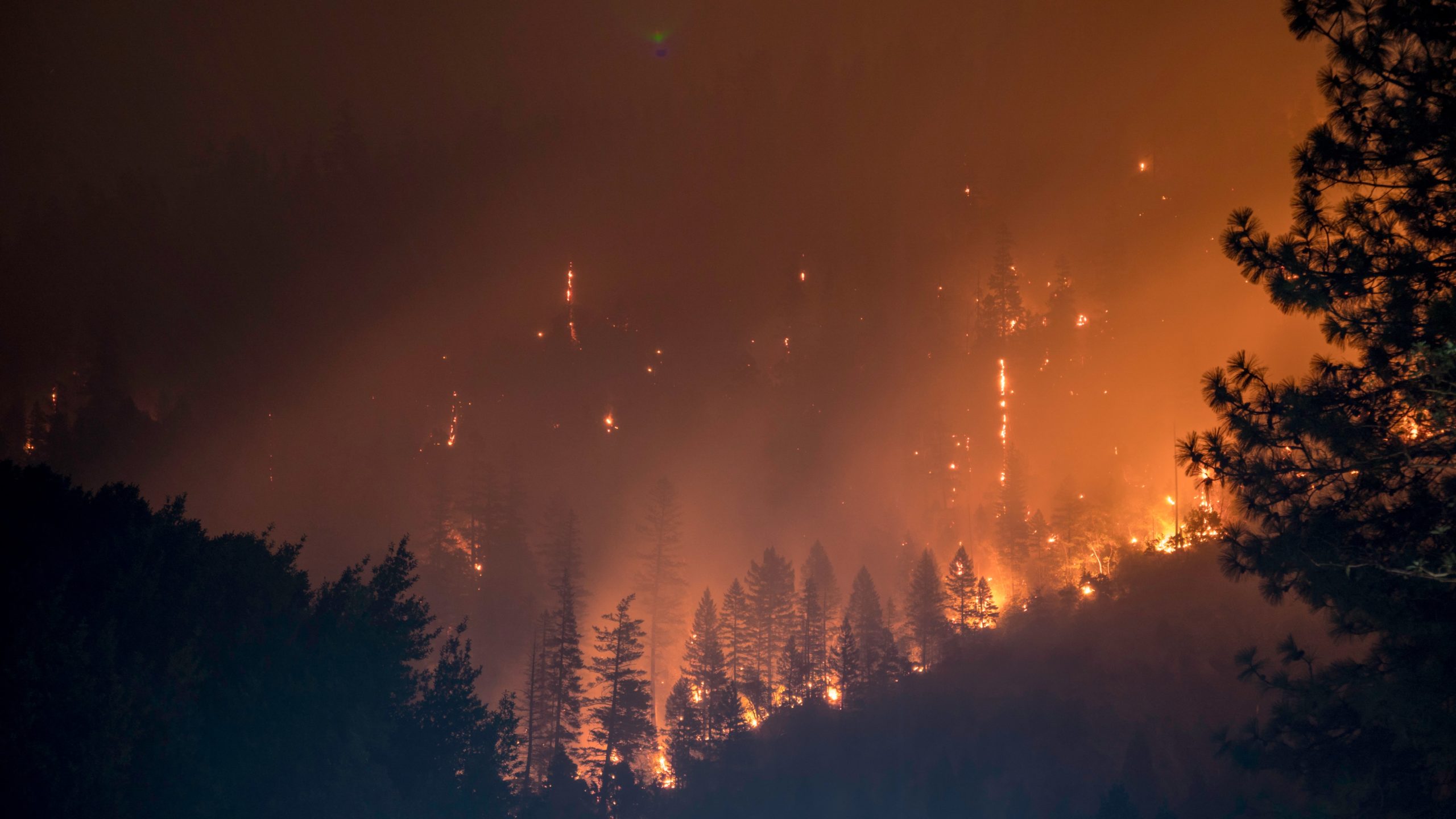 Feu de forêt, l'une des raisons pour lesquels la préservation de l’eau est primordiale (Photo by Matt Howard on Unsplash)