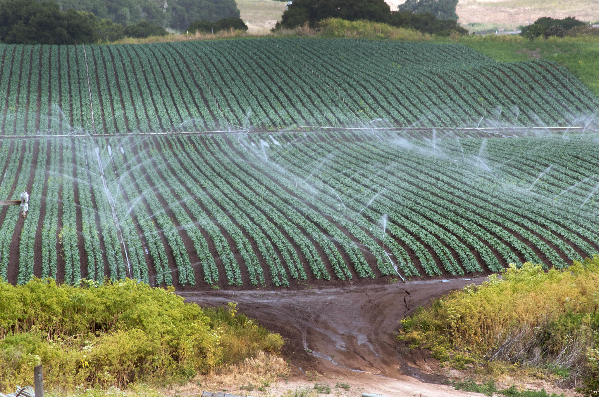 Augmentation des redevances sur l’eau : enfin!