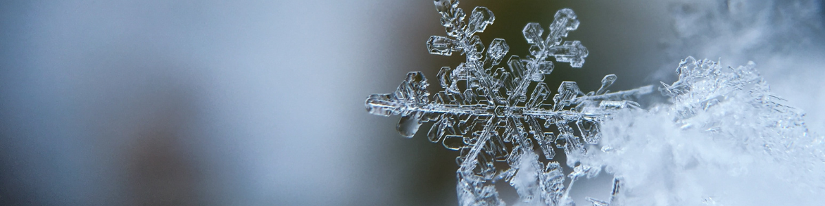 Comprendre la nature complexe de la couverture de neige est essentiel pour appréhender son impact sur l'environnement canadien. 