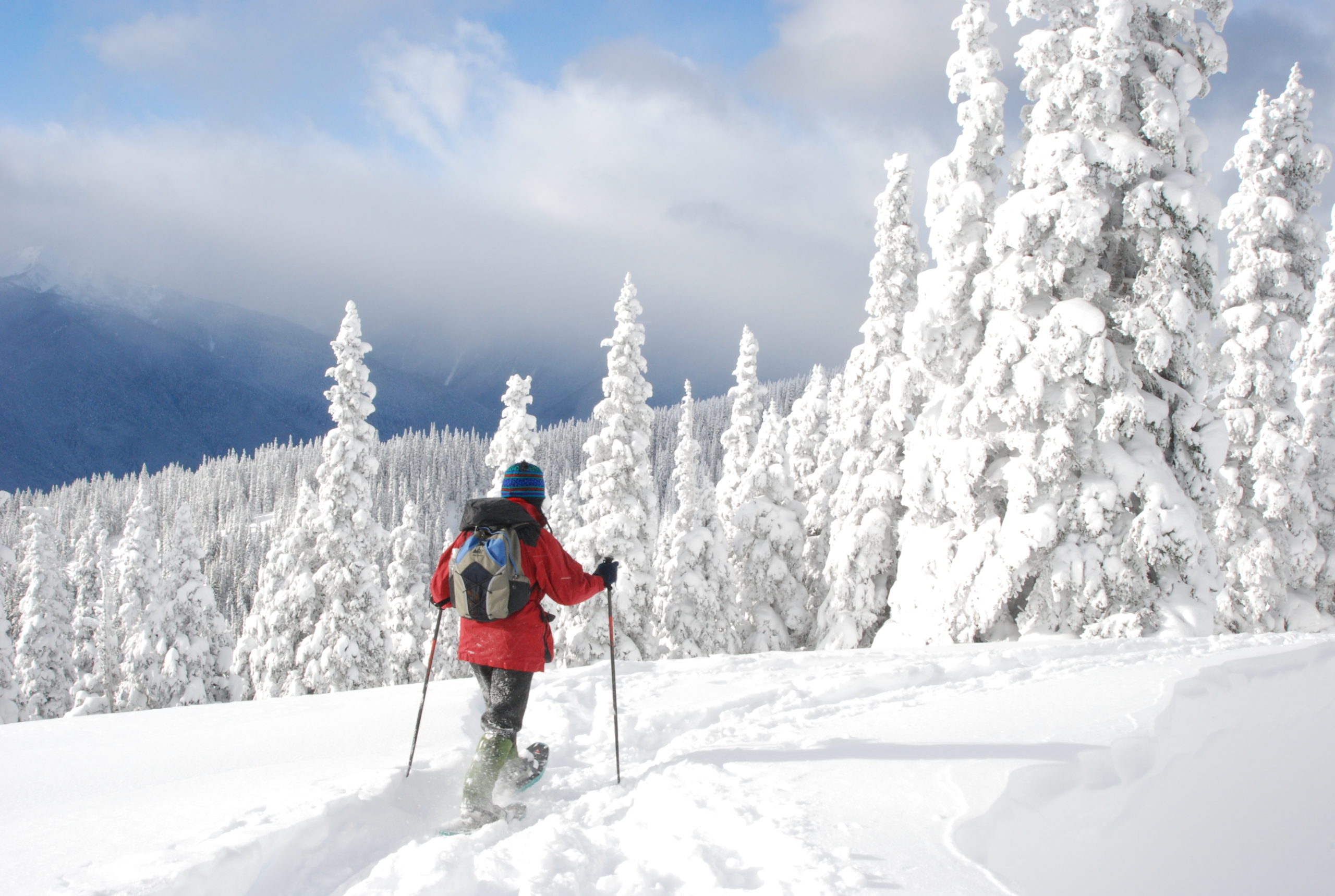 The snow cover affects your life and your environment!