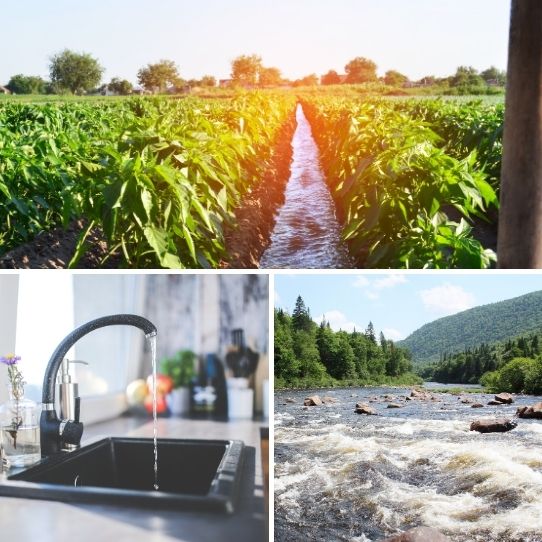 Rangée de cultures irriguées, robinet de cuisine ouvert et rivière vive en forêt montagneuse.