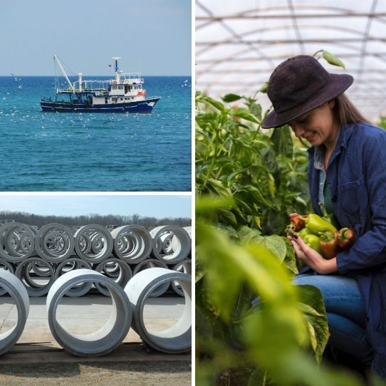 Bateau de pêche en mer, conduites d'infrastructure empilées et productrice cueillant des légumes en serre.